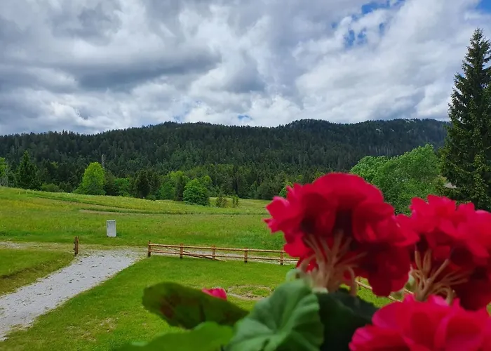 Σαλέ Kuca Za Odmor - Mavis *